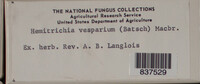 Image Associated With the Occurence
